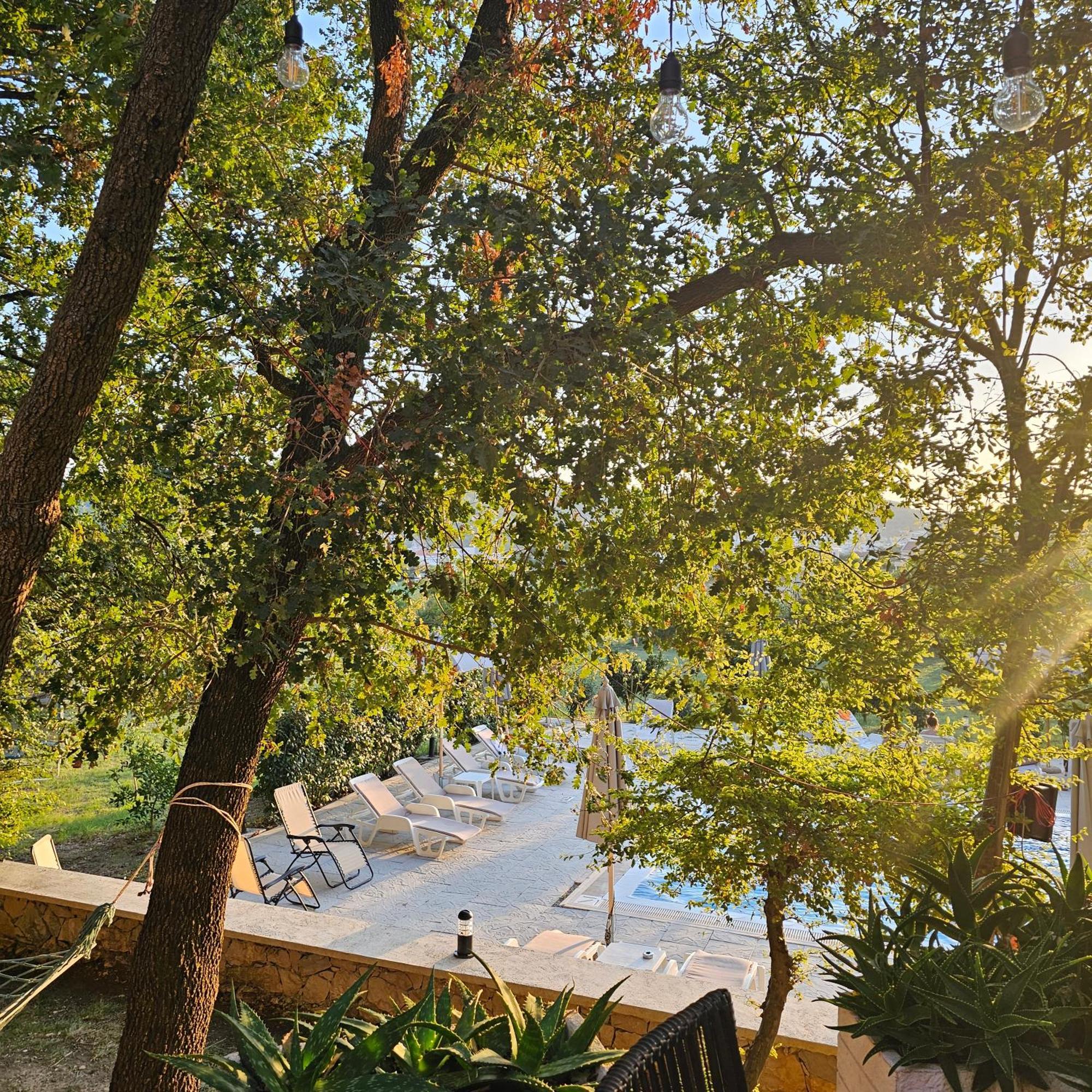 Green Hill Apartments 乌尔齐尼 外观 照片